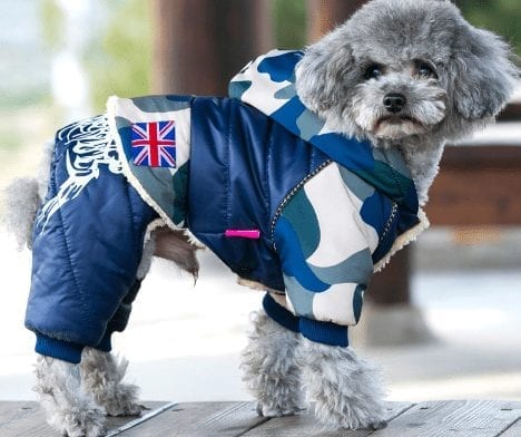Dog's Casual Warm Jacket