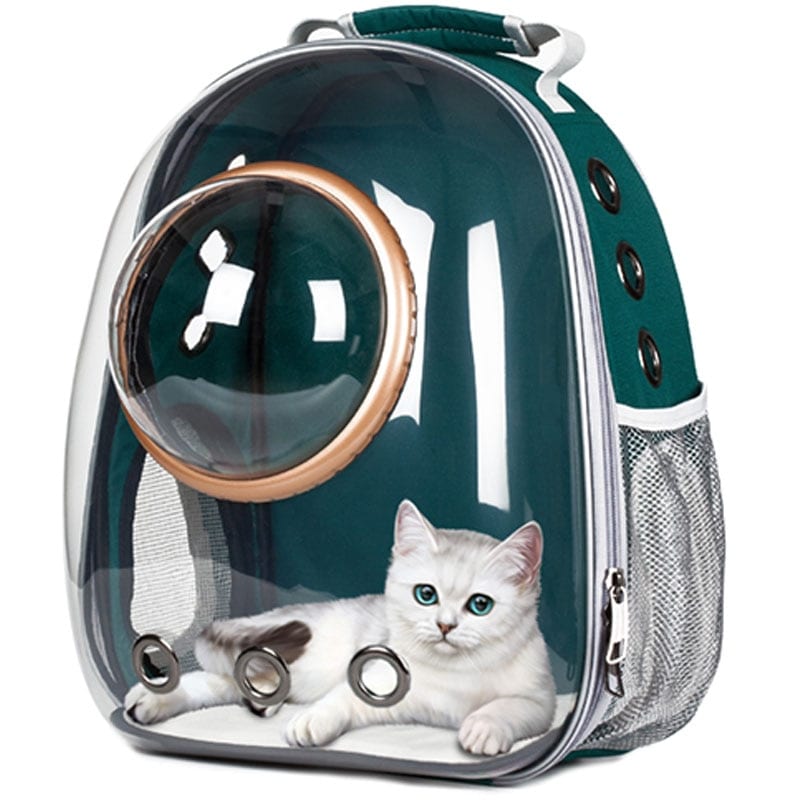 Transparent Bubble Pet Carrier Bag