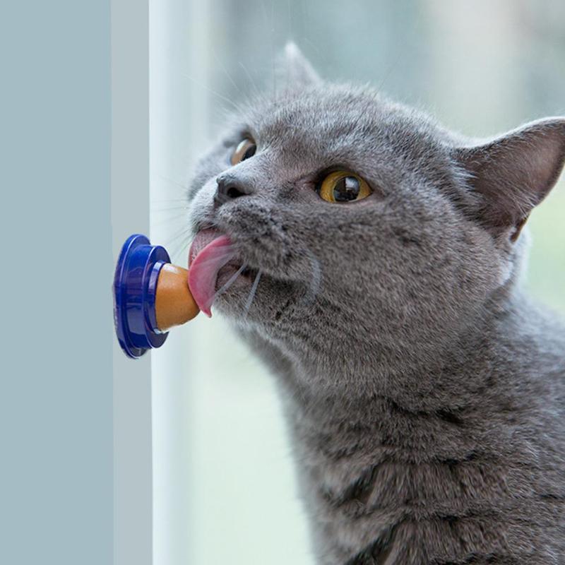 Healthy Cat Snacks Gel Energy Ball Toy