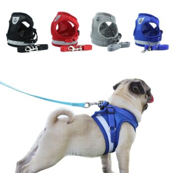 Item Type: Harness Material: Polyester Color: Black, Blue, Red, Grey